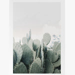 In The Desert Cacti White Framed A2 Print HW Art - Wall Decor, Clock, Wall Mirror Papier HQ
