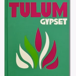 Tulum Gypset Book HW Books Assouline