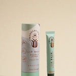 Lip Balm 12ml Fresh Mint