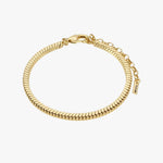 Dominique Flat Snake Gold Chain Recycled Bracelet ACC Jewellery Pilgrim   