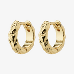 gold hoop earrings