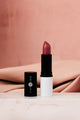 Vegan Undressed 4g Lipstick