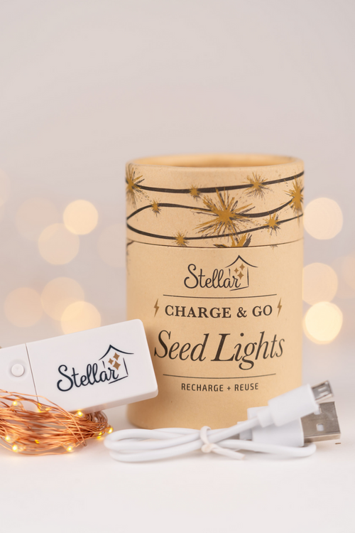 Charge & Go Silver Warm White Rechargable 3m String Seed Lights HW Lighting - Lamp, Candleholder, Lantern, Shade Stellar Haus   