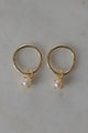 Mini Pearl Sleeper Earrings Gold